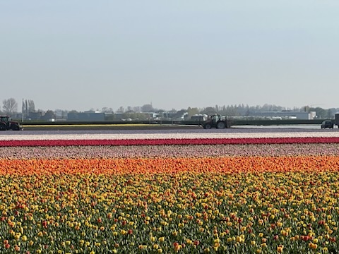 Dauphin County Bar tweet media