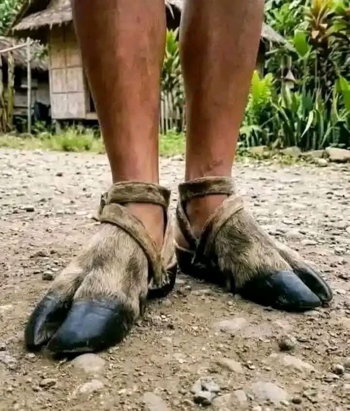 Thabani Mpofu tweet media