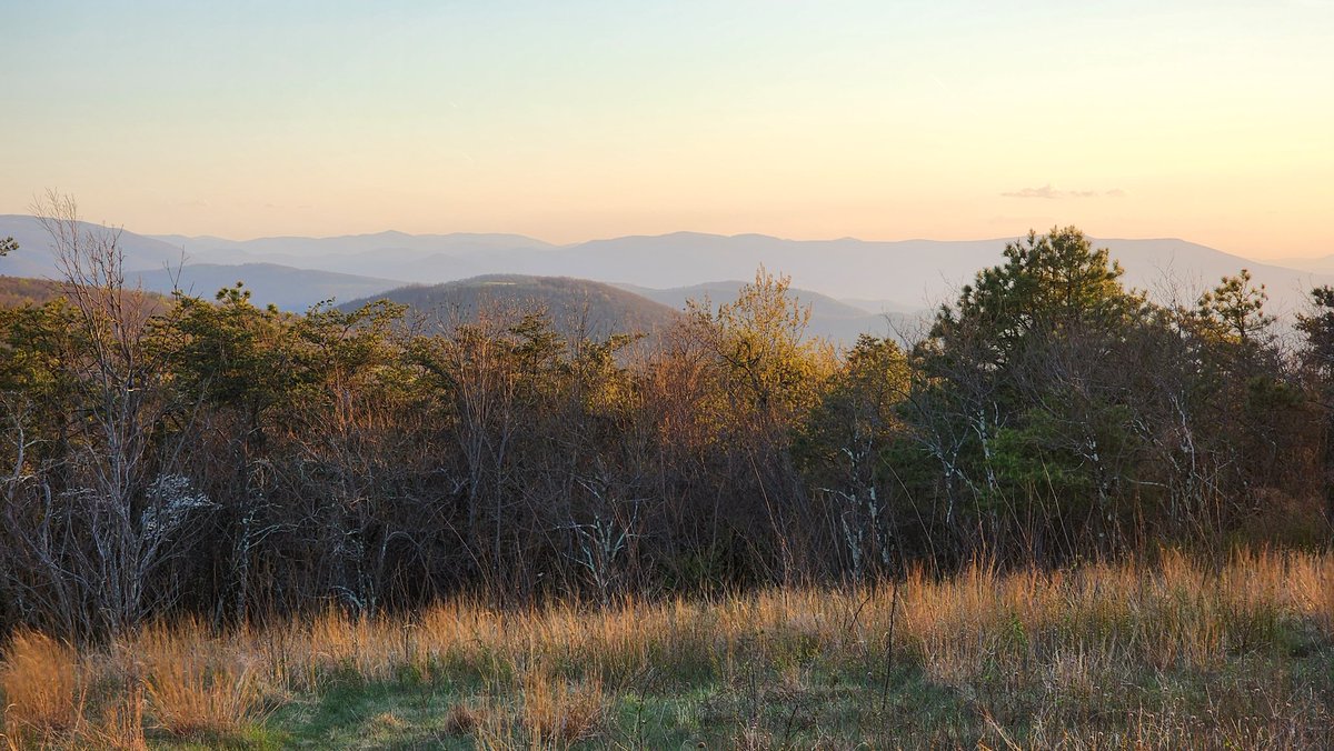 Floppy 🇺🇸 tweet media