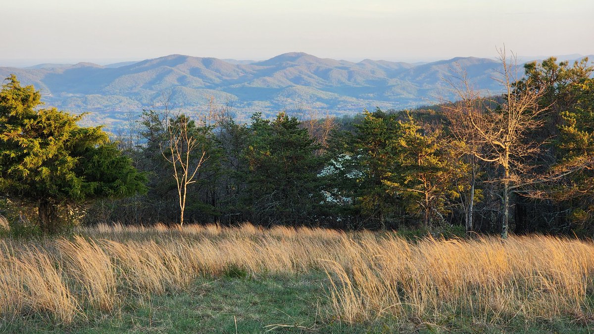 Floppy 🇺🇸 tweet media