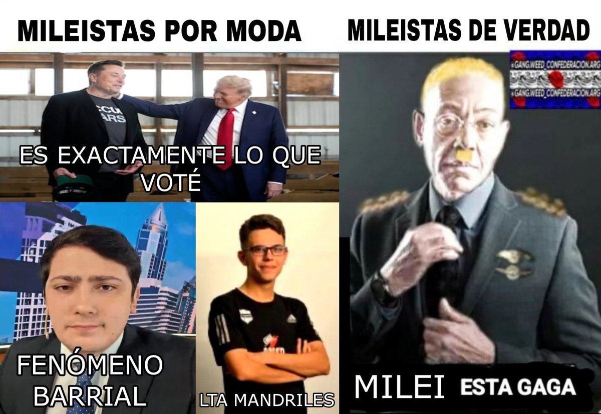 miausibella 🎀🇦🇷 tweet media