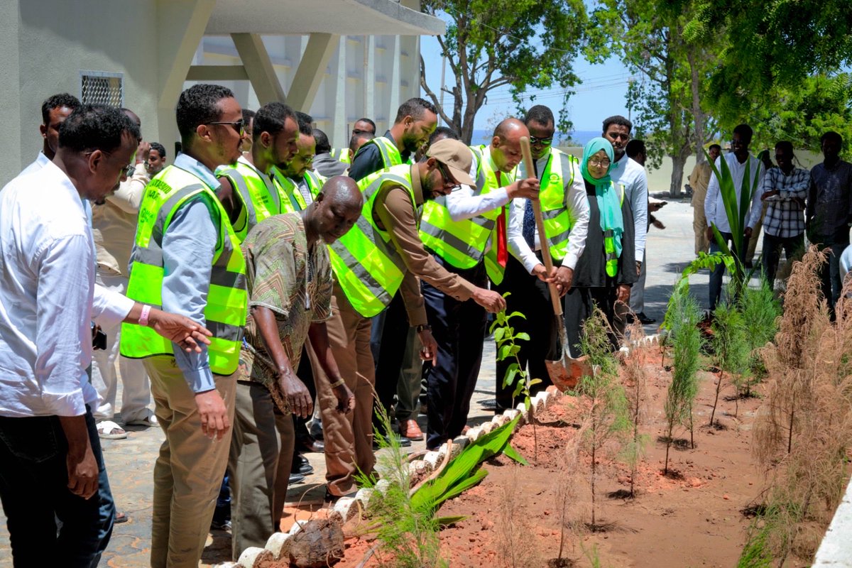 MoECC_Somalia's tweet photo. 1/2
Today, Minister of MoECC H.E. Ltr Gen @BashirMJ, alongside Minister of Justice H.E. @HassansheikhAli, led a tree-planting initiative at the Ministry of Justice, marking Somalia’s National Tree Planting Week. https://t.co/hO2ewHyKhH