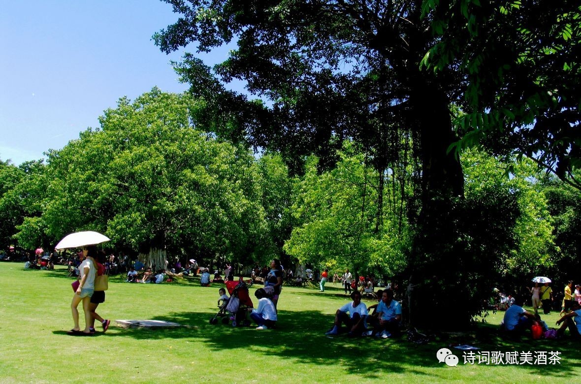 kaszanka tweet media