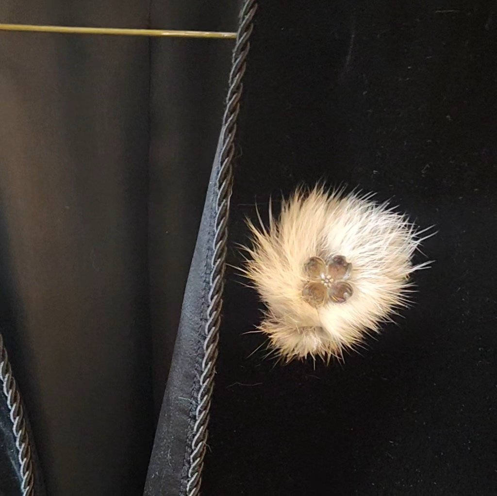 Tity Bordeaux tweet media