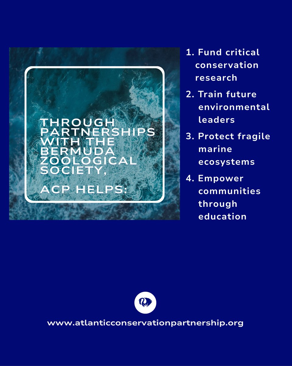 The Atlantic Conservation Partnership (ACP) tweet media
