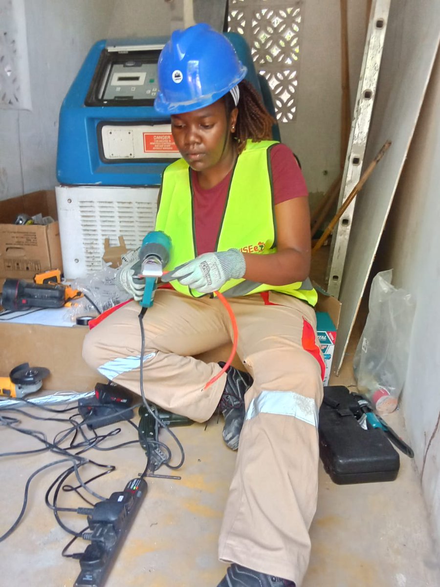 Women in Sustainable Energy and Entrepreneurship tweet media