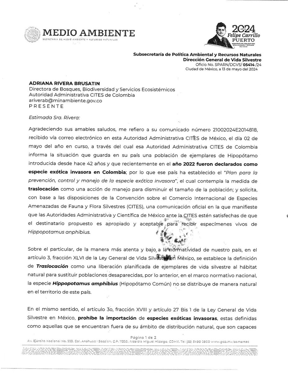 Irene Vélez-Torres tweet media