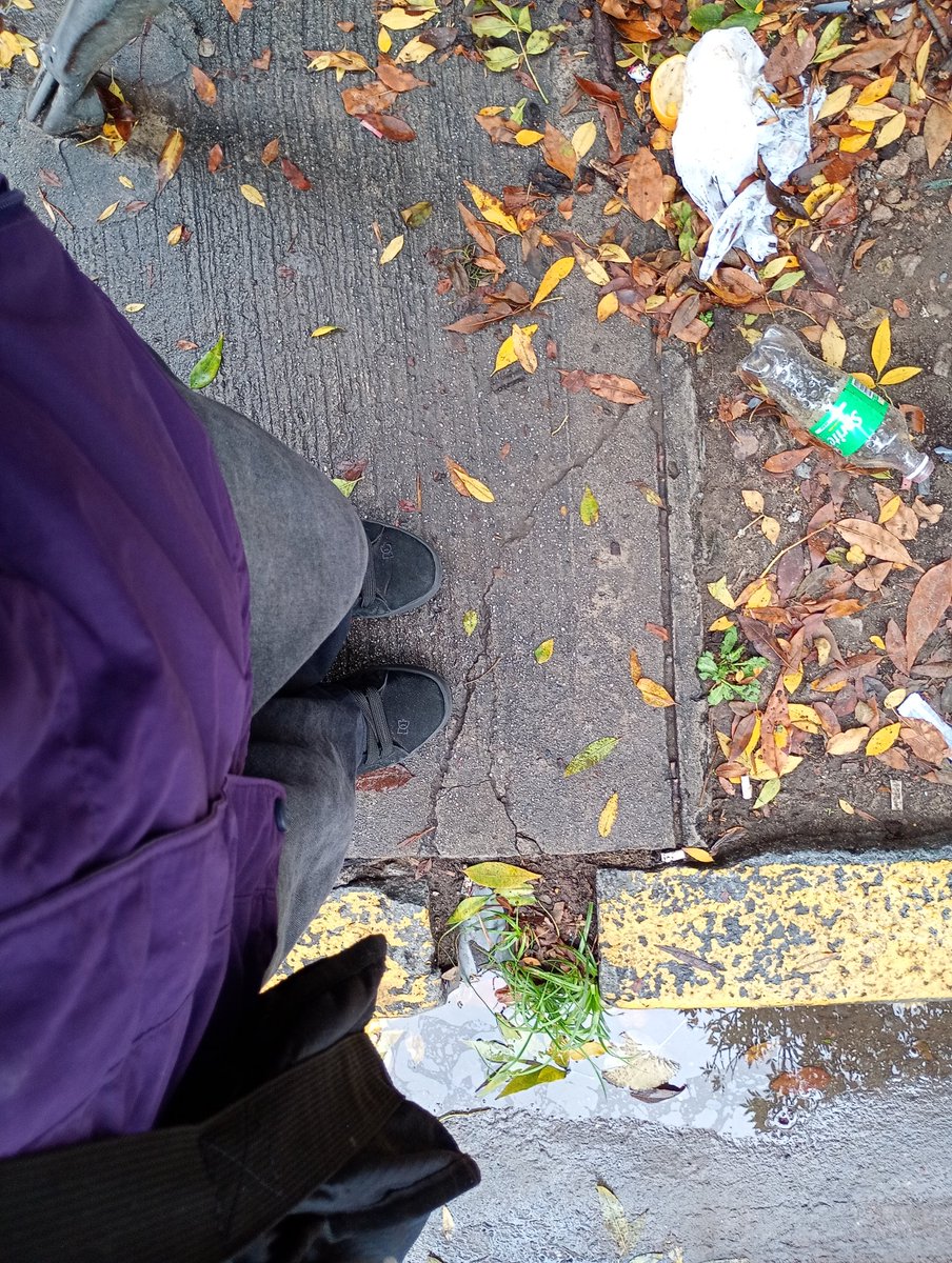 Bile || ℋ𝒶𝒹ℯ𝓼 tweet media