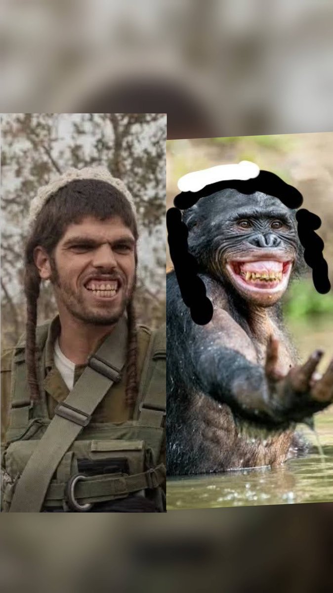 Adalberto tweet media