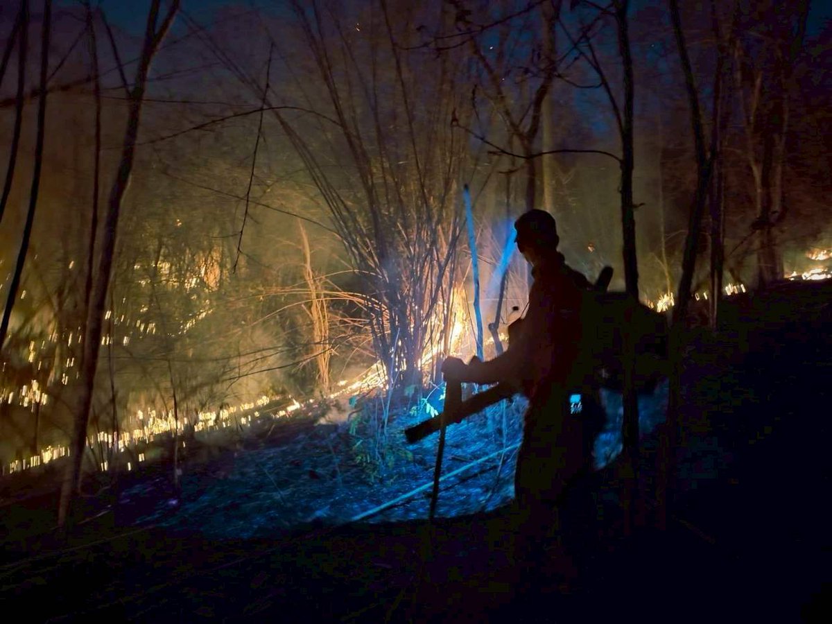 กรมอุทยานแห่งชาติ สัตว์ป่า และพันธุ์พืช tweet media