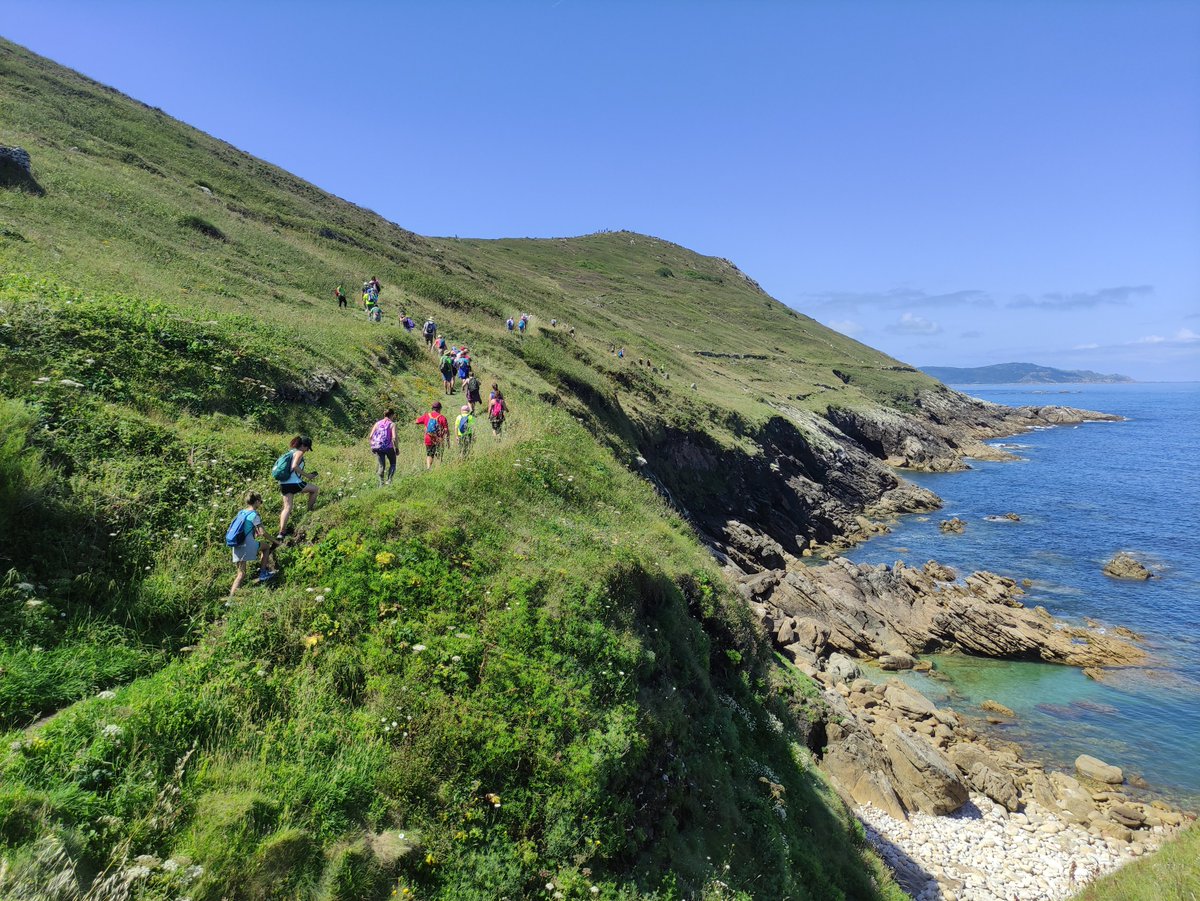 máisqueauga tweet media