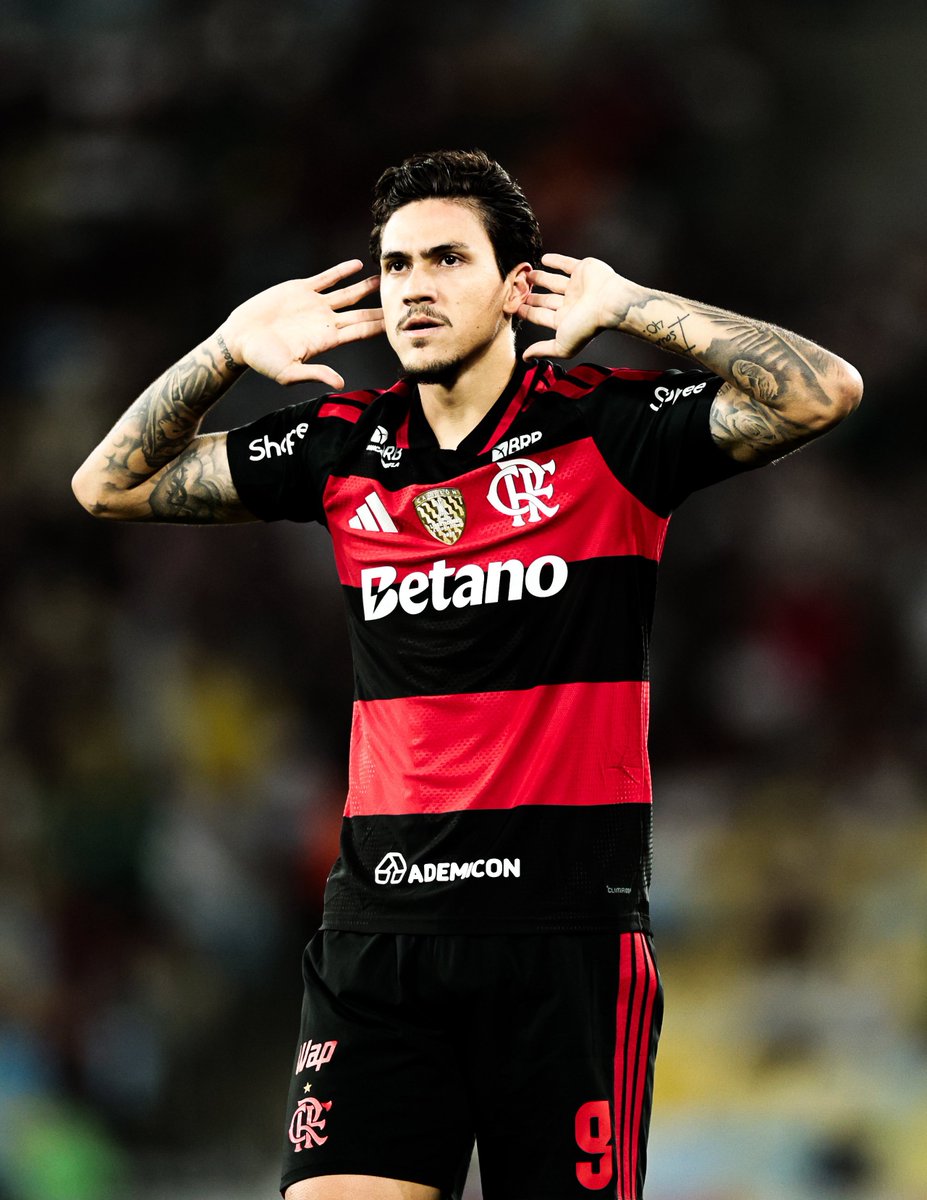 “Pedro é o melhor centroavante que nós temos no Brasil, disparado. Ele estava sem sequência, voltou a ter sequência e voltou a fazer o que ele é mestre: gol. Se ele tiver que se desgastar para marcar, ele vai perder força quando estiver na área. Os outros têm que marcar. No