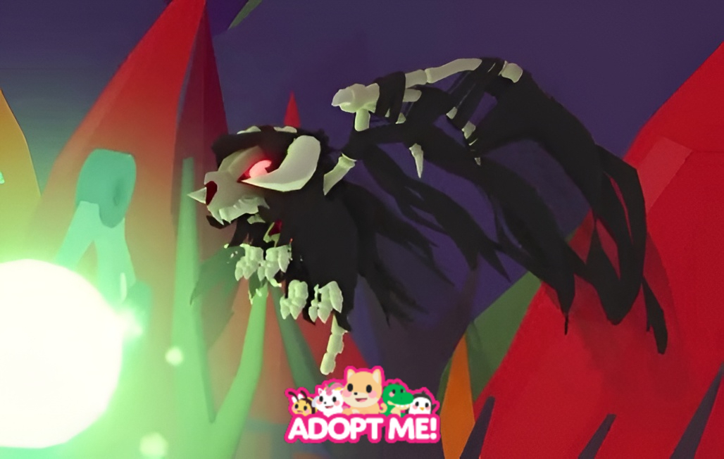 A.D.M.C. tweet media