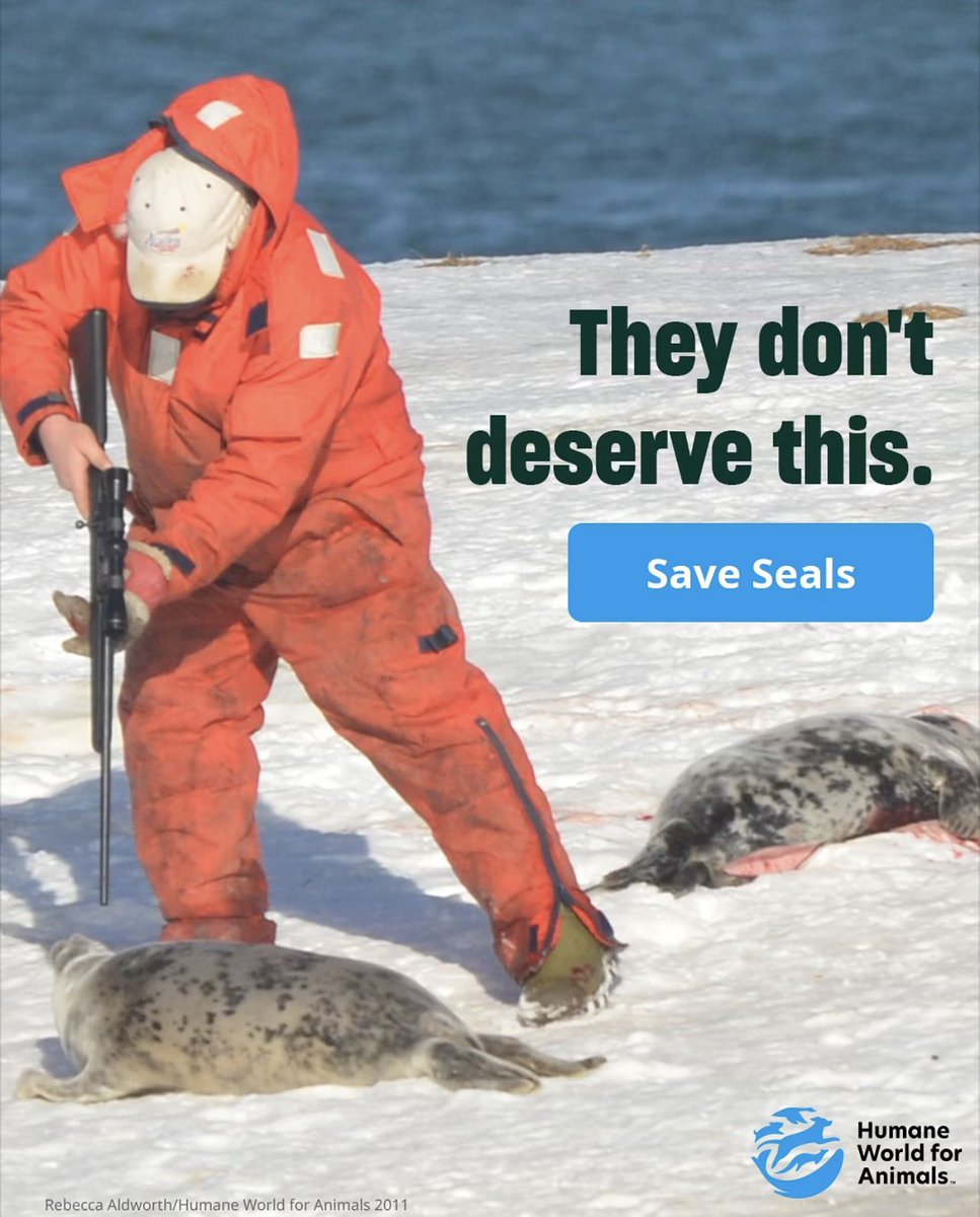 dominic dyer tweet media