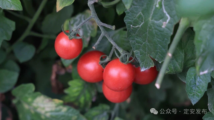 Beto Canals tweet media