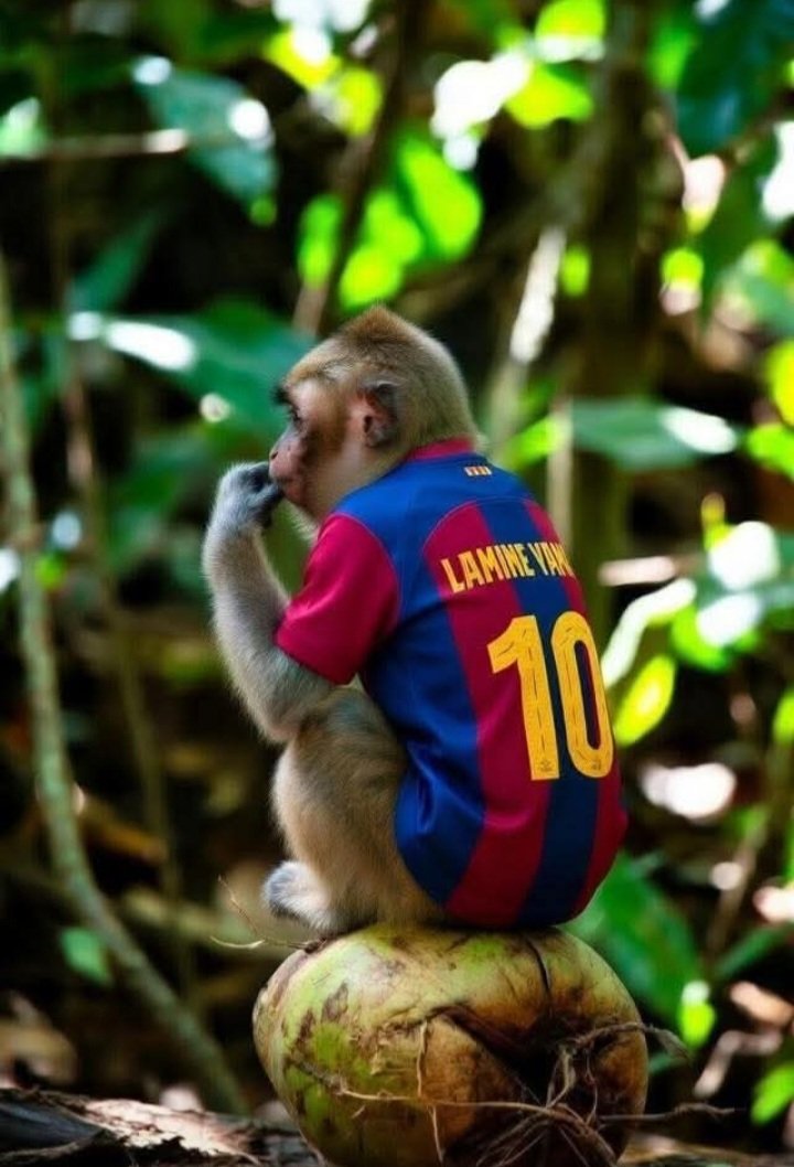 Diomensional84's tweet photo. @Pedri @FCBarcelona @ChampionsLeague https://t.co/aefu0wUcVn