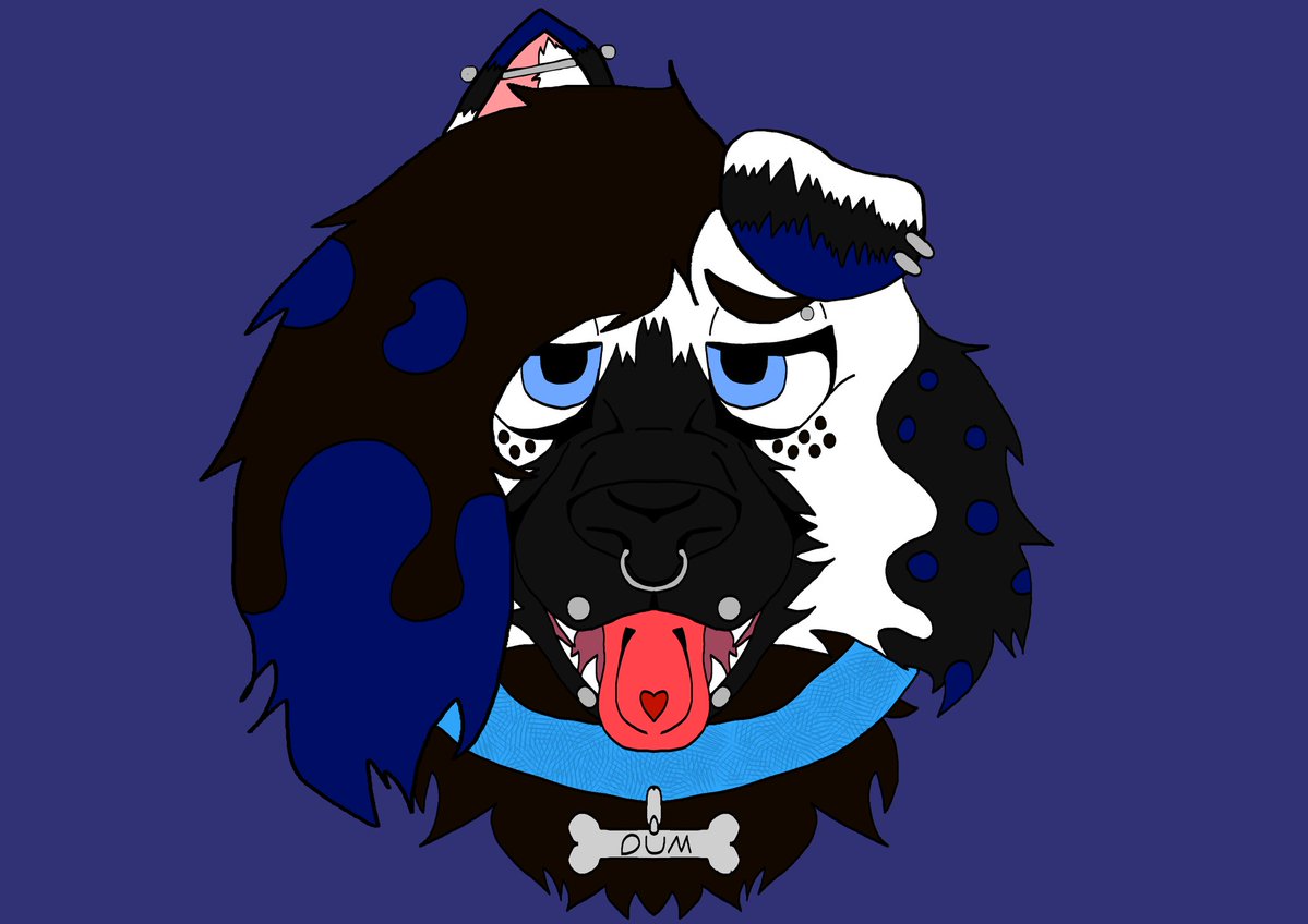 BrookGoesBark's tweet image. Drew a head bust of my sona 💙 ✌🏻 
#furryart #fursona #digitalart