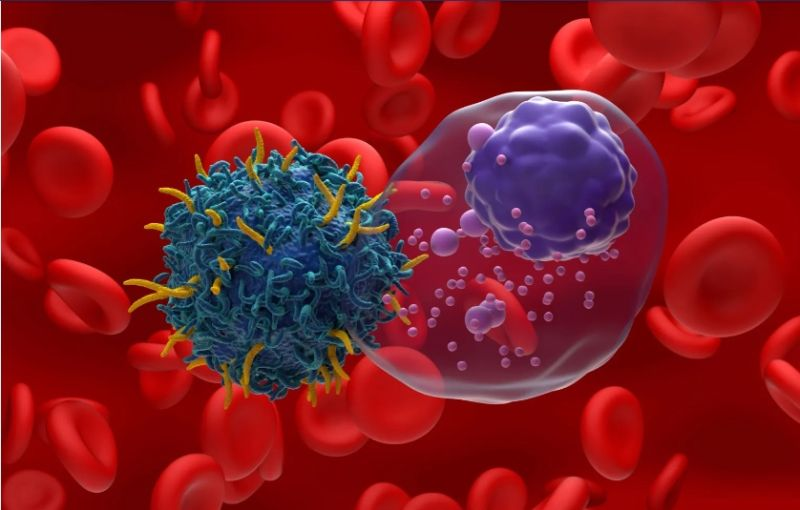 jyves94's tweet photo. Un nouvel ordre dans la #CAR_Tcell 🧬 #Allogenique 💉
L’analyse provisoire de #Cema_cel 🧬 pour le #lymphome 🩸
Une différence de 41,6 % de la #MRD au jour 45, avec une tolérance propre, une disponibilité dans les hôpitaux et la plupart des patients pris en charge en ambulatoire https://t.co/Yxh3O3il9u