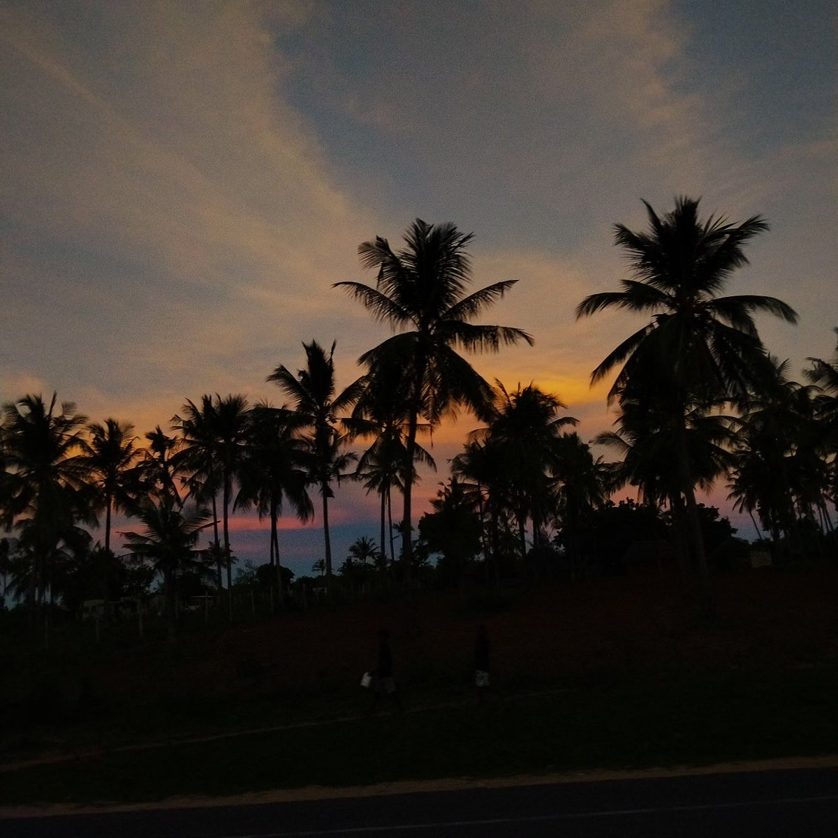 Capicolo tweet media