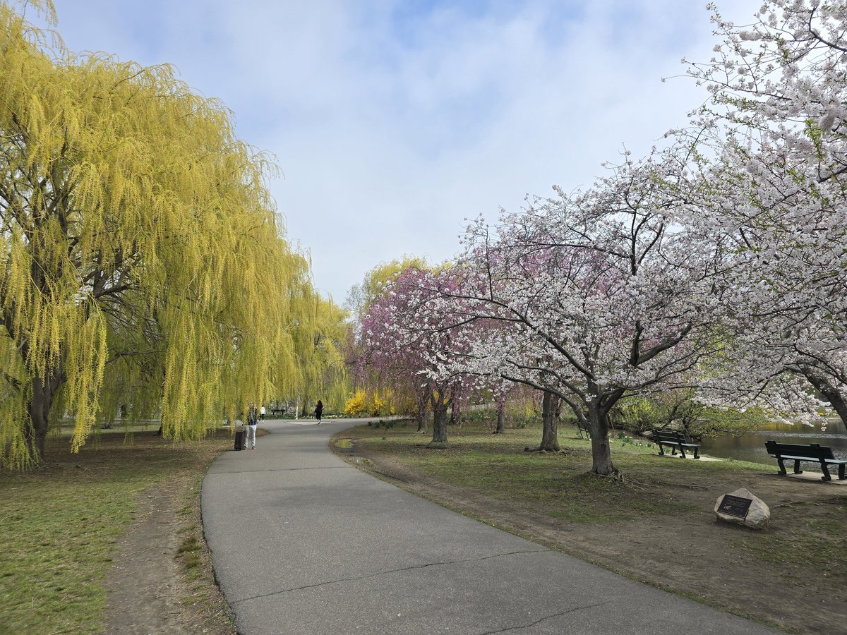 ericfisher's tweet image. Spring colors #Boston
