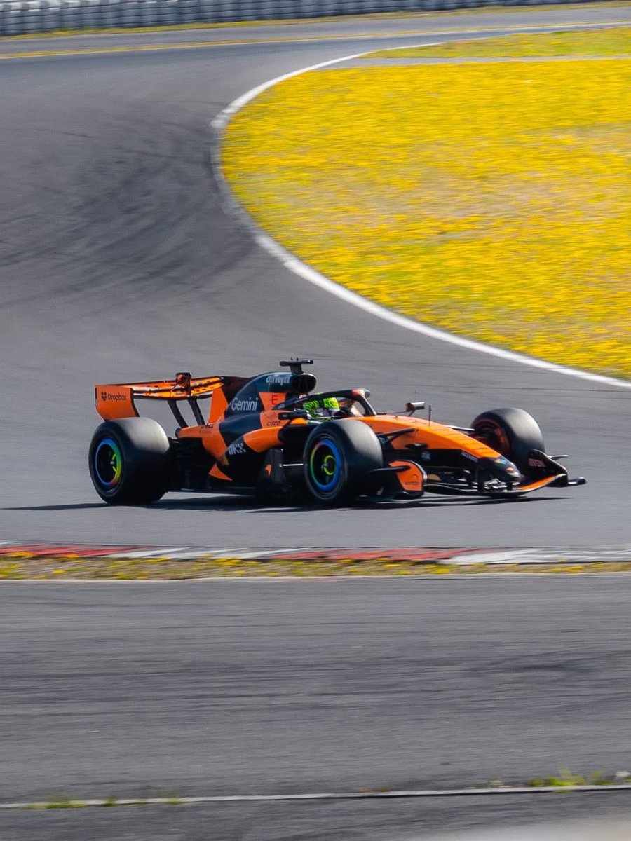 Nathan, LN4 2025 World Champion 🧡👍🧡 tweet media