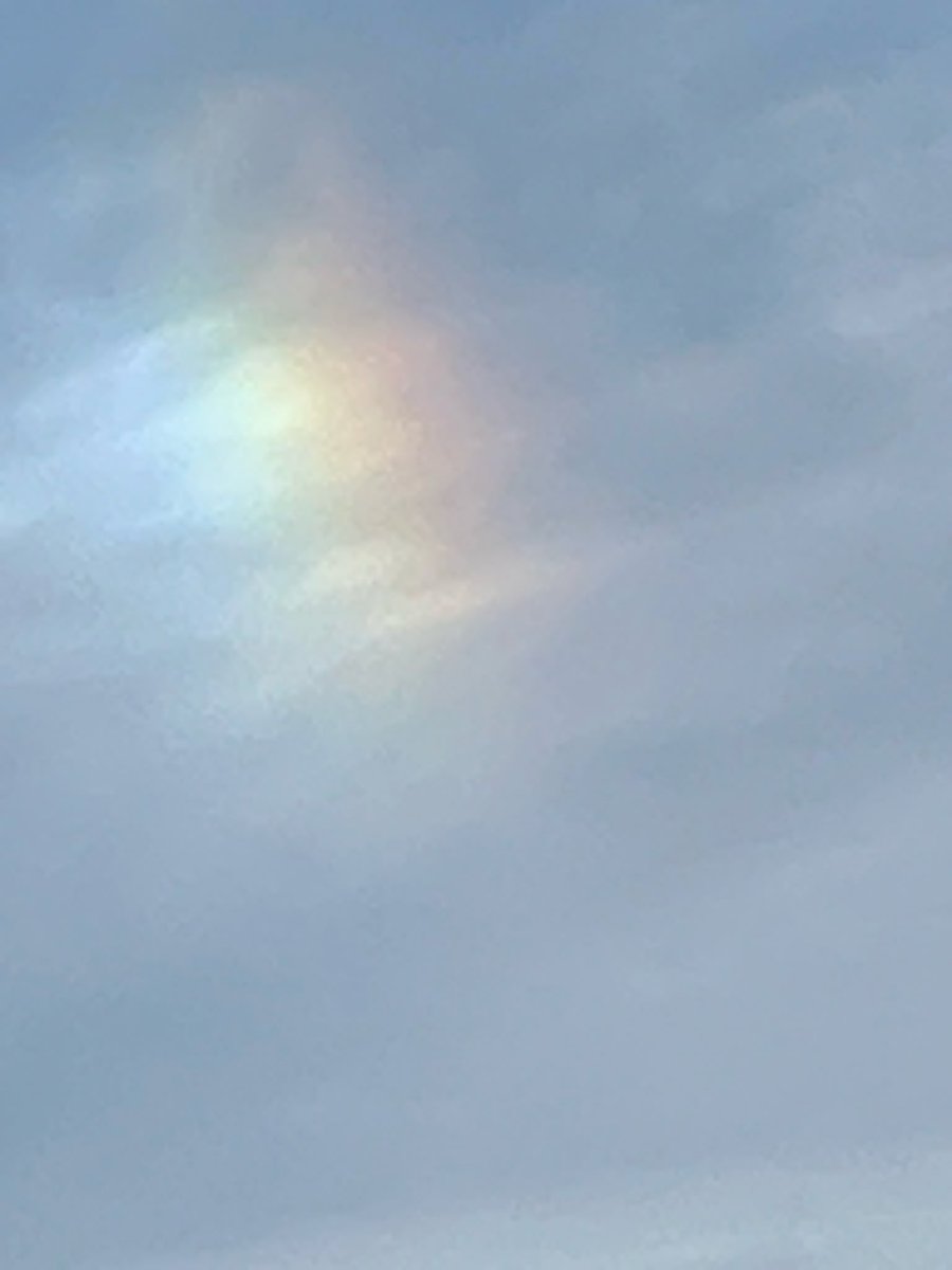 Klardenkerin tweet media