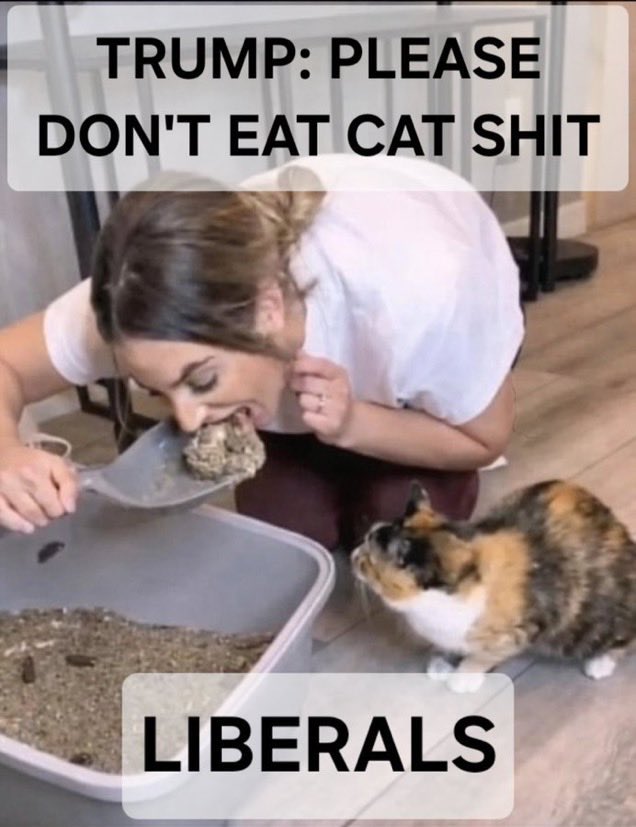 elderxennial tweet media