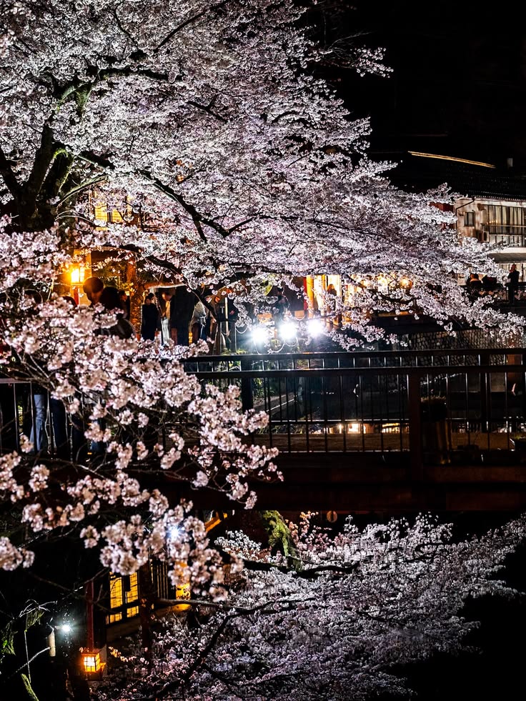 angelicaio81153's tweet image. Japanese Aesthetic Spring Landscape 
#artistic #landscape #photography