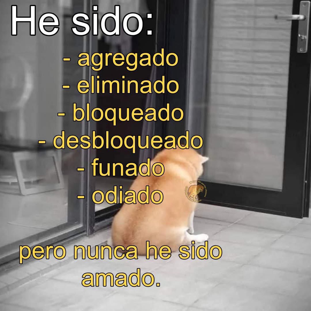 Cheems Rojo tweet media