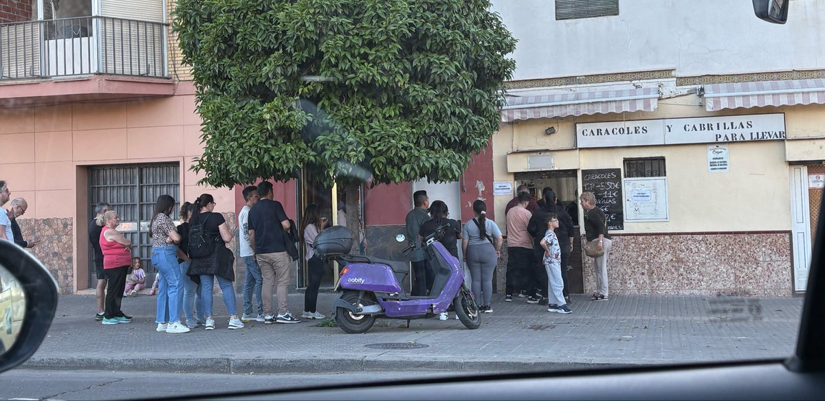 Maria Galdon tweet media