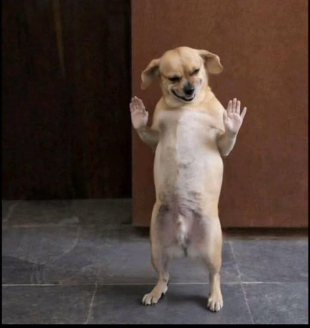 THE PROCESS tweet media