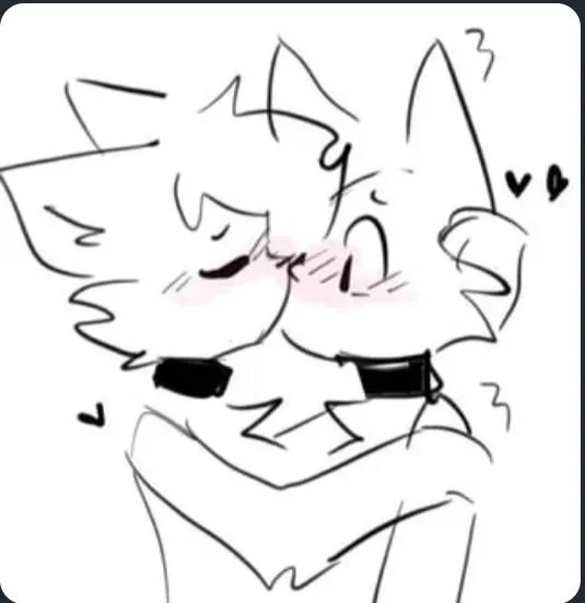 Si te sigo eres furry y gay tweet media