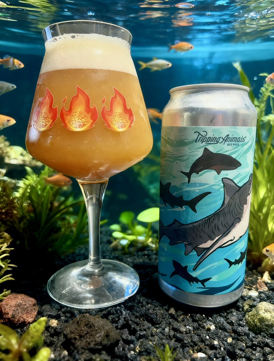 Beer Adviser tweet media