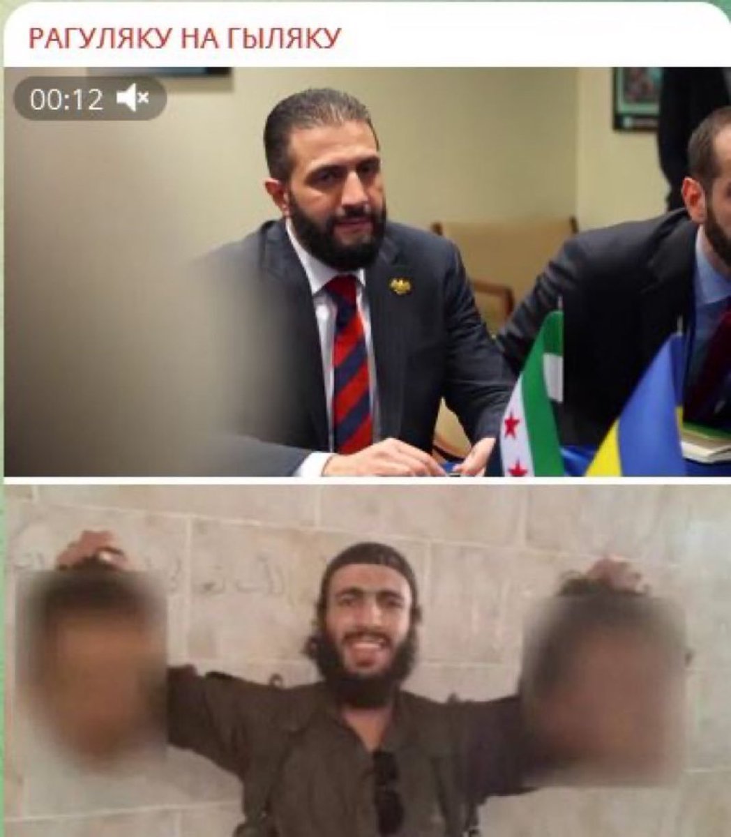 AntiTodo tweet media