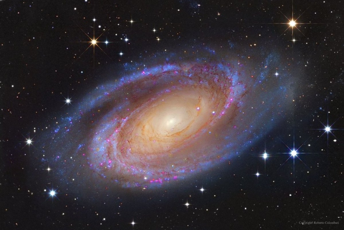 Nereide's tweet image. 🧵1/6
The bright spiral galaxy M81 (also known as NGC 3031 or Bode’s Galaxy) is the largest member of the M81 Group, a collection of 34 galaxies in Ursa Major, located about 11.8 million light-years from Earth.

apod.nasa.gov/apod/ap170917.…

#universe #science #astronomy