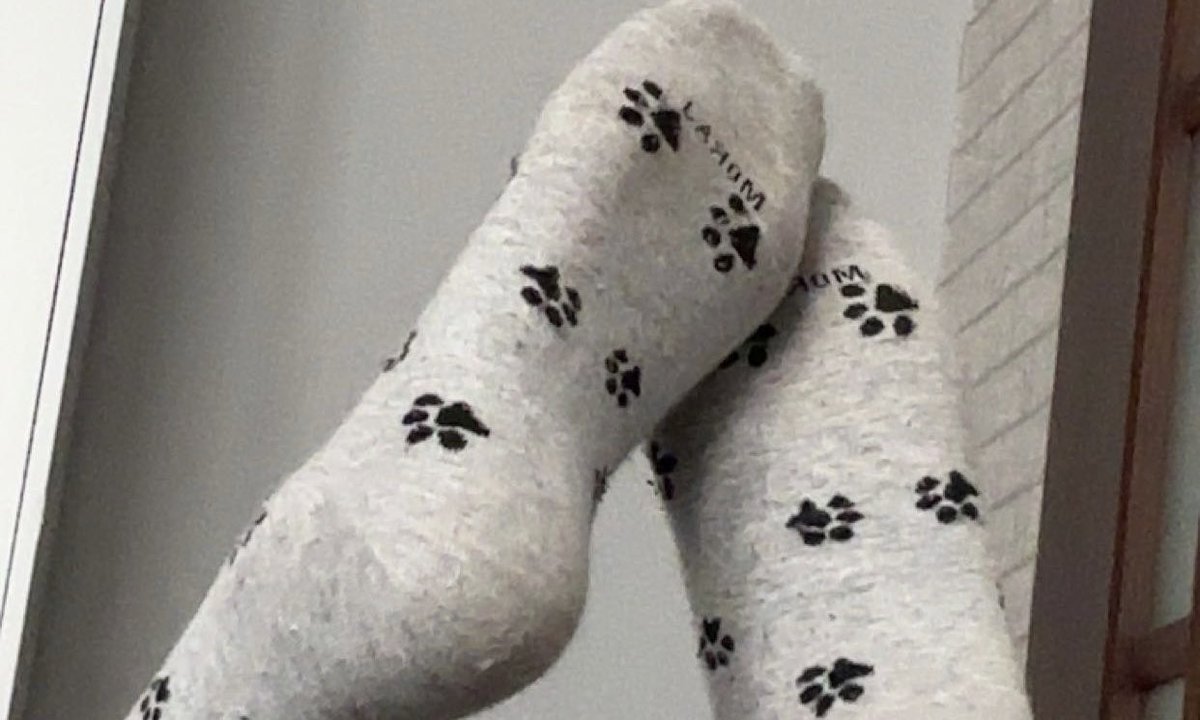 ika 𓏲🪽˚. ˖ . ݁ tweet media