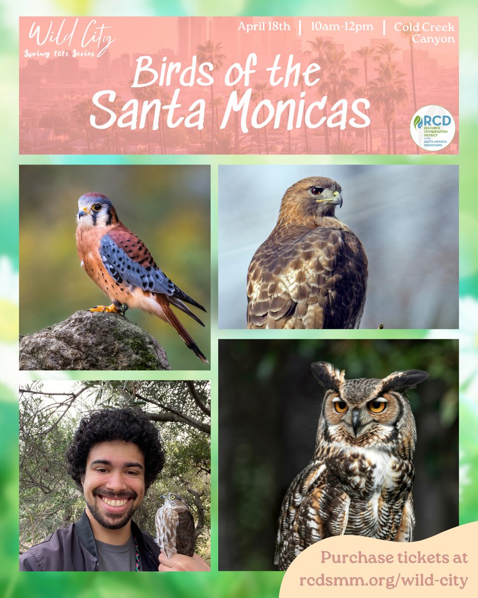 rcdsmm's tweet photo. Just a few days left to get your tickets to our next WiLD CiTY Workshop! ⏰

Explore our local mountains while connecting with the feathered species that live within. 🦅

Read more &amp; snag your tickets at https://t.co/vUSgFZdpkE https://t.co/iOHsXo3cmc