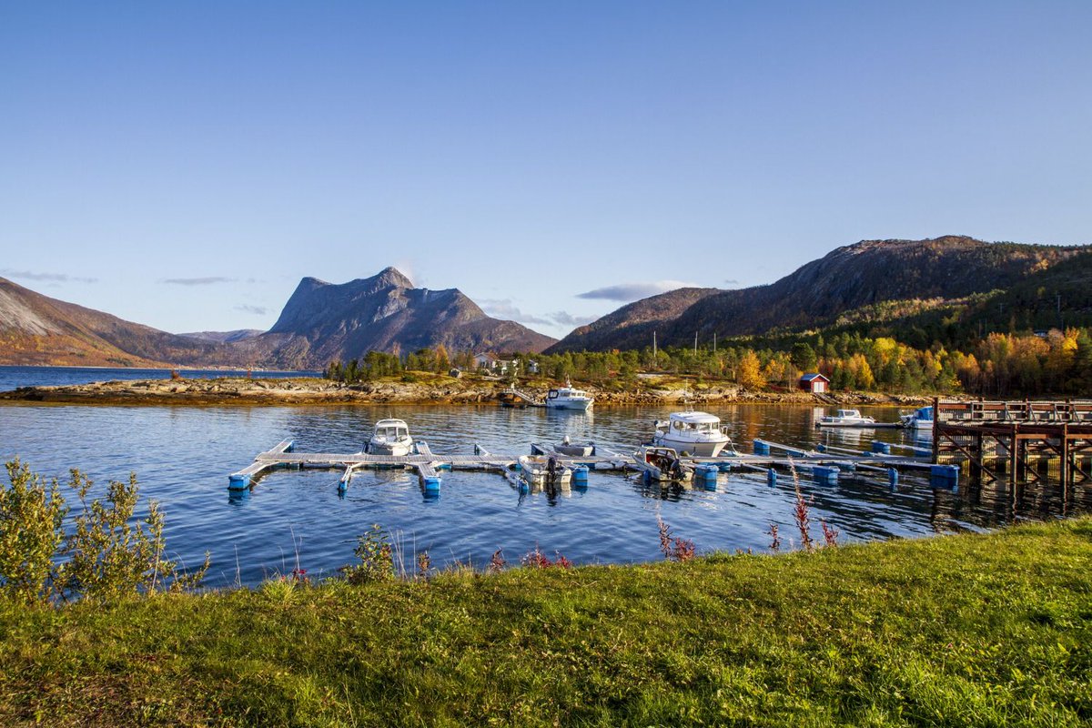 Too small… and you outgrow it in one season. Too big… and now you’re maintaining something you don’t even use. Dock size isn’t a guess—it’s a strategy. If your Saskatchewan property isn’t working the way you expected, this is probably why.

Read more: norcoldocks.com/what-size-dock…
