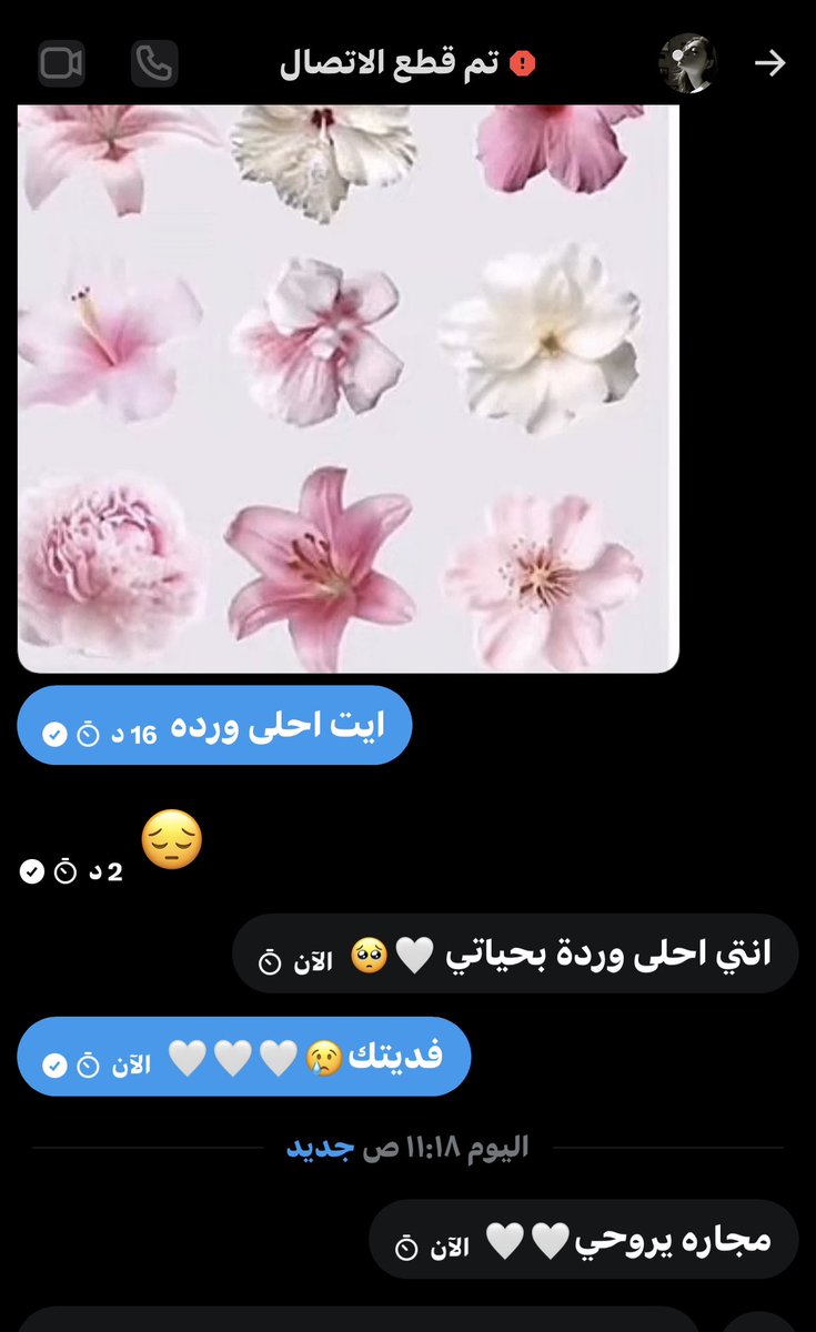 نوفه tweet media