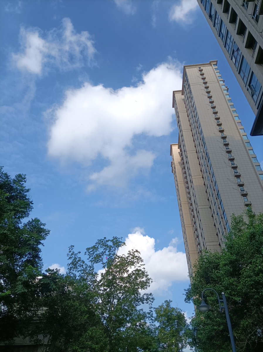 جوهرة مسقط لتنجيد tweet media