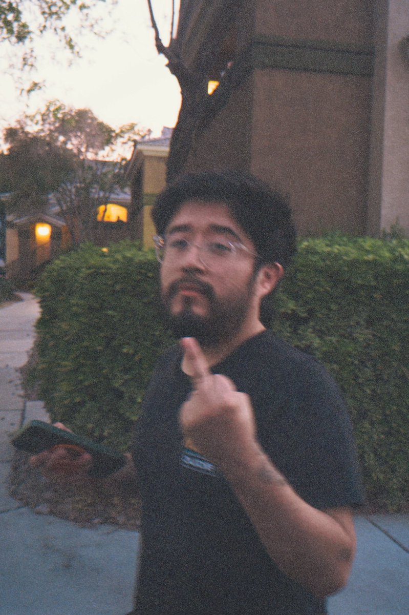 the cat                             the owner