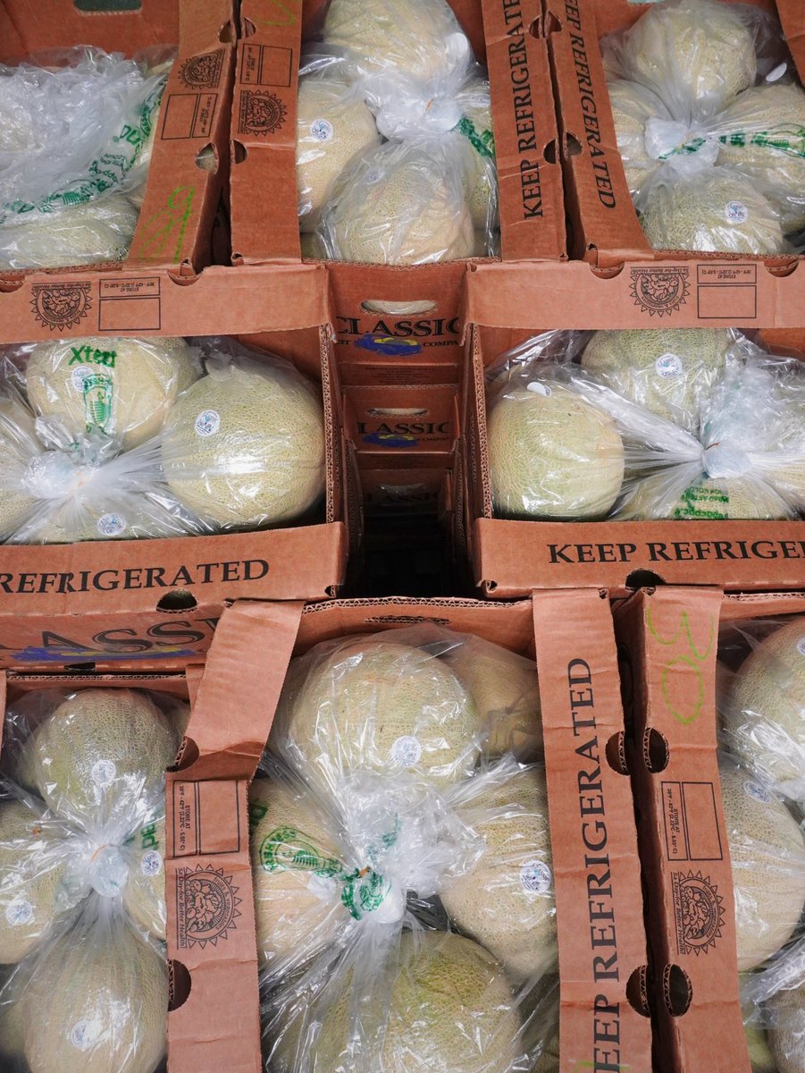 You don’t have to study a box of cantaloupe when it looks like this 🍈📦Strong netting, great color, and fruit that shows the right way the moment the lid comes off. #FreshProduce #Cantaloupe #ProduceMarket #MelonSeason