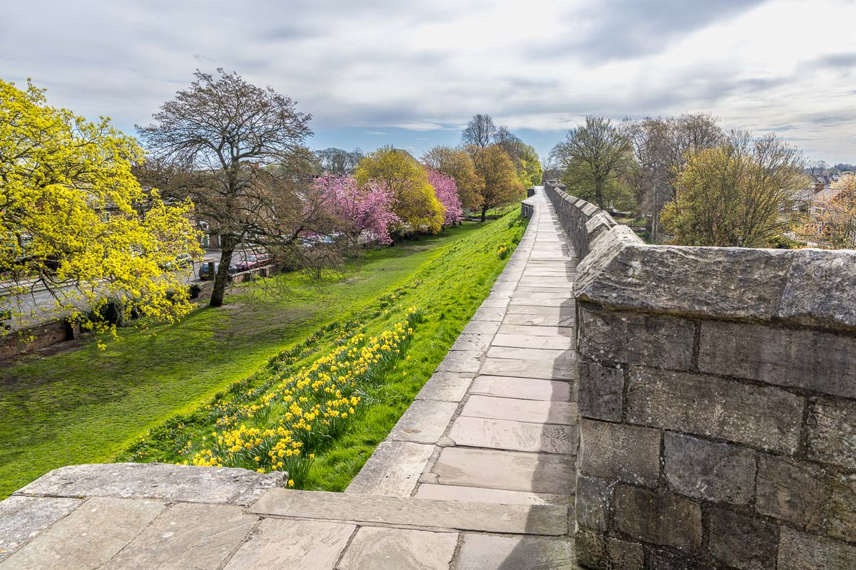 Andrew Locking tweet media