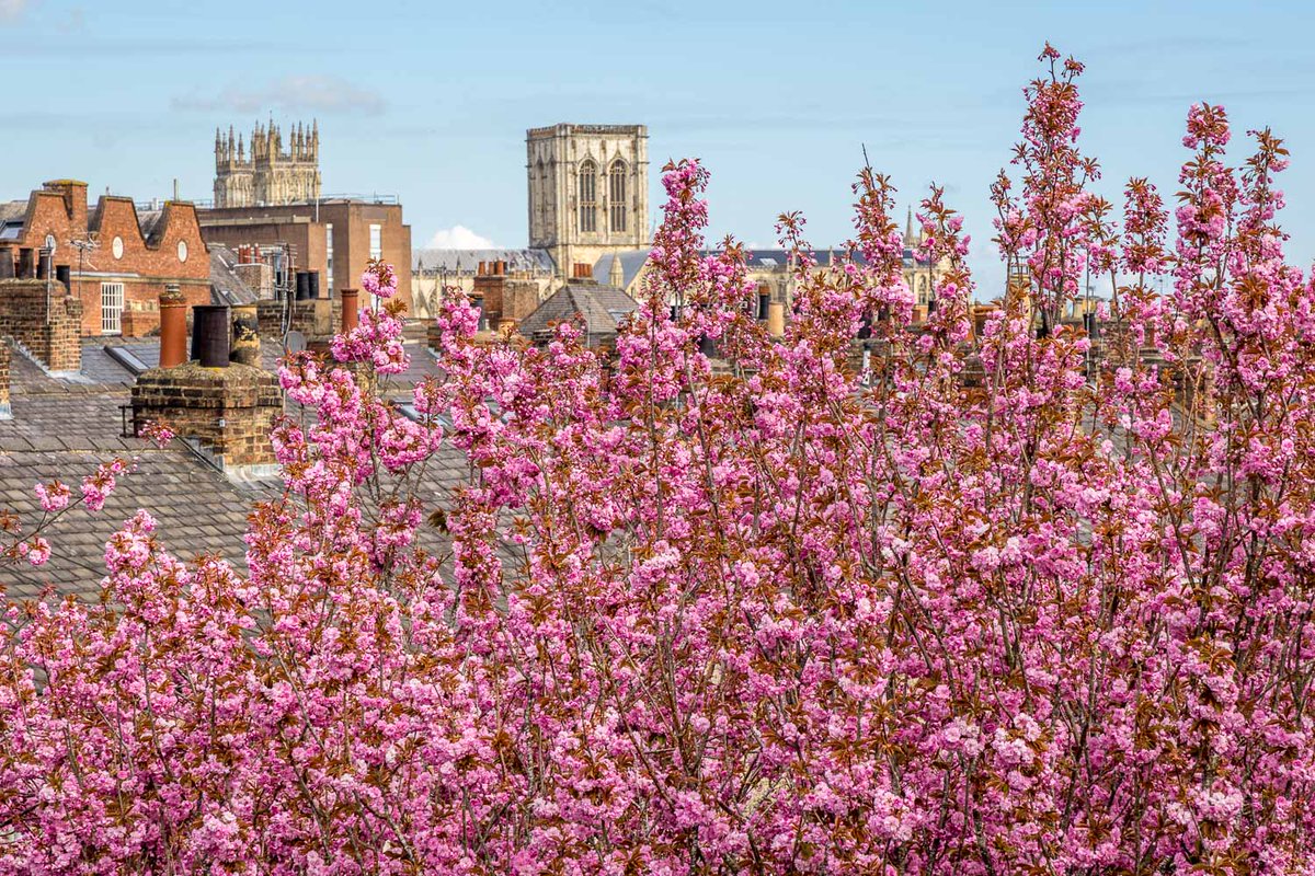 Andrew Locking tweet media