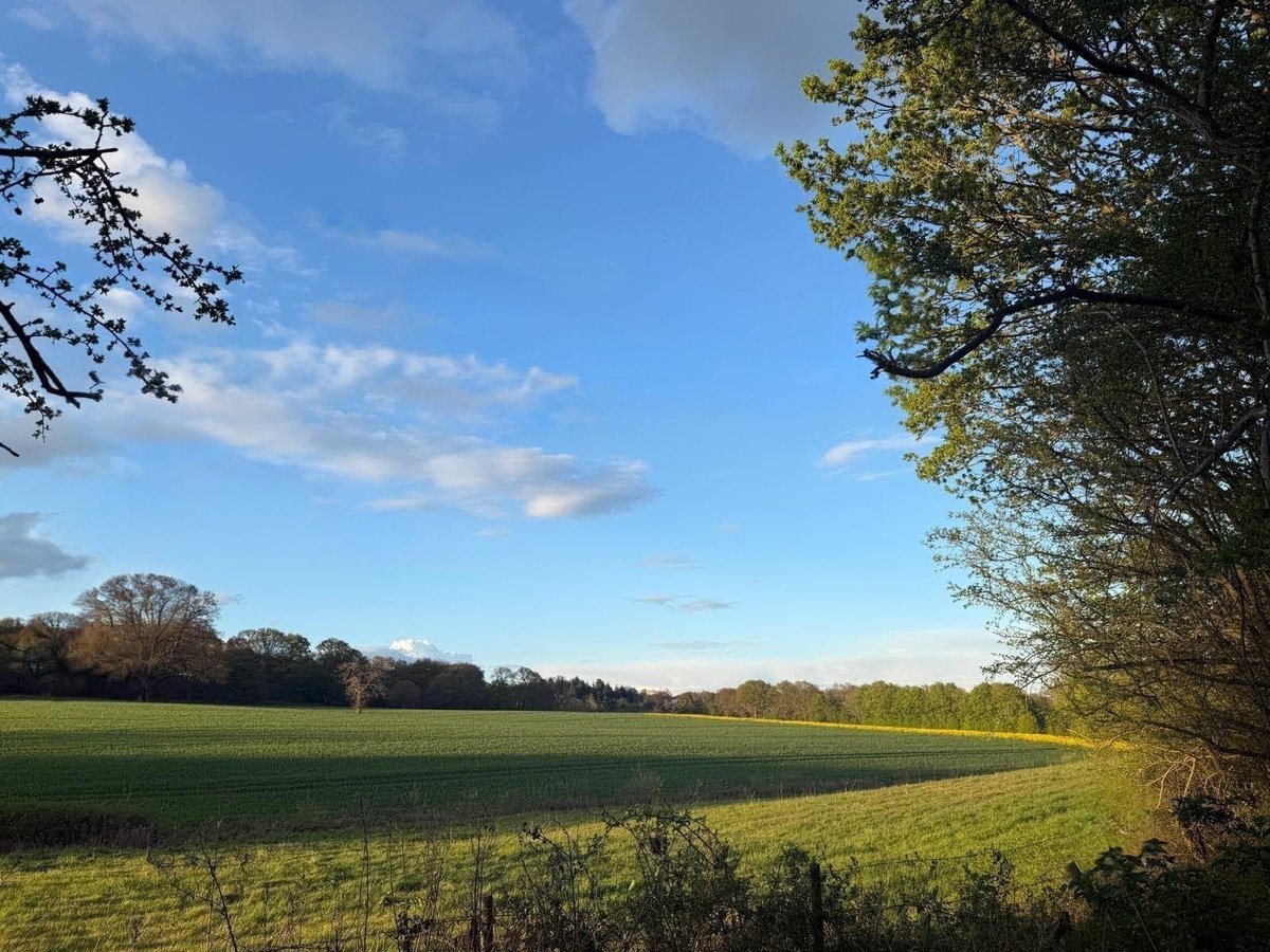 MemzPose's tweet image. #Abstract #Nature #Photography 
Image:
© 2026 Carol Natasha Diviney, KC, PhD

Universe Poems ®

linkedin.com/posts/dr-carol…