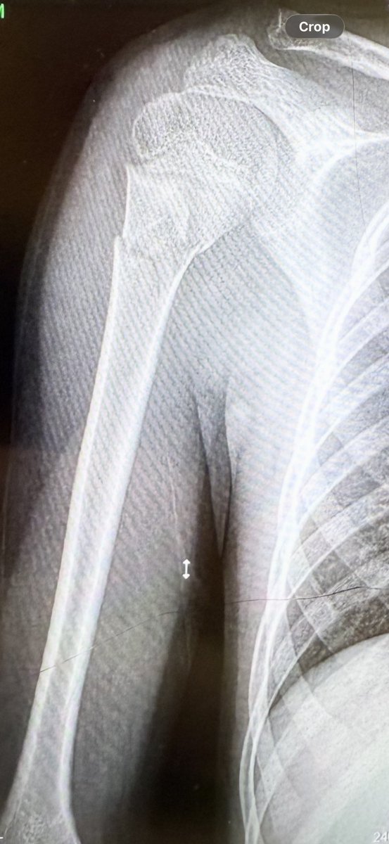 Bearded Tesla tweet media