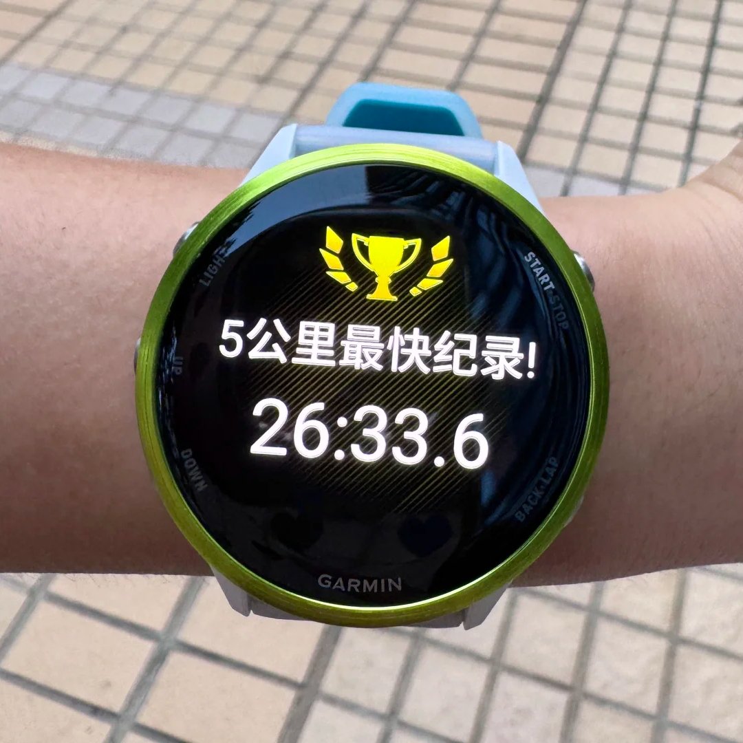 リノ (Rino) tweet media