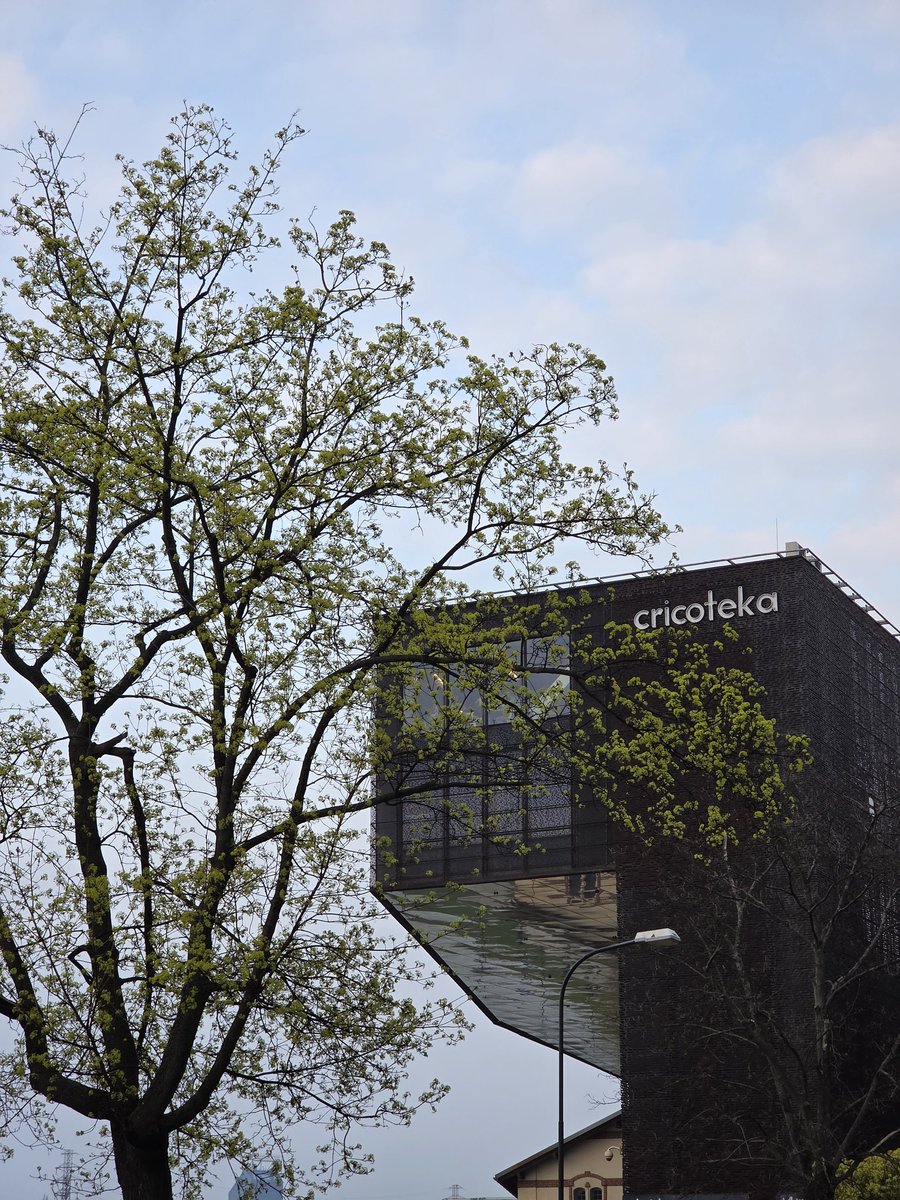 Fusbal Sztand 2.0 tweet media