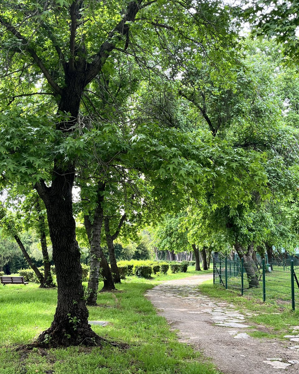 kapgeym ★ tweet media