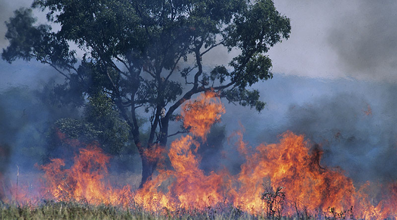 The Resort Trades tweet media